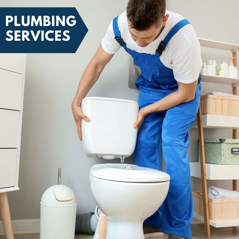 Plumbing Company in Lincoln Park, MI
